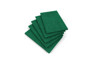 SCOURING PAD 5.5" (1X5) BIO CHEMEX