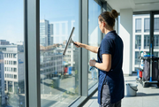 WINDOW SQUEEZER ECO