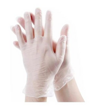 Euroglove Vinyl disposable glove powder free